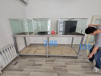 Stilaj bilan akvaryumla sotiladi srochna