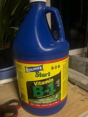 Vitamin B-1 start