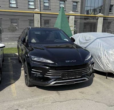 Champion Hybrid naxt