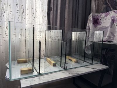 Готовый САМП для аквариума