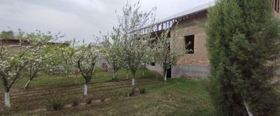 Narxi daxshat. 9,5 sotu 80.000$, Yangi hayot, Surum mahalla
