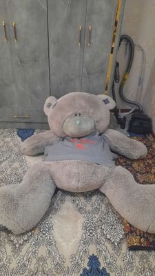 Teddy ayiq kattasi, yangi