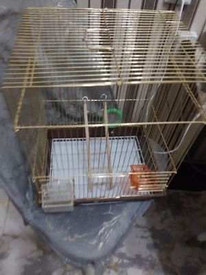Красивая клетка.