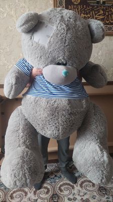 Teddy ayiq katta