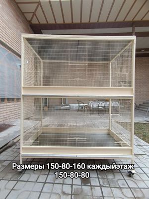 Валер новый заватской Узбекистан
