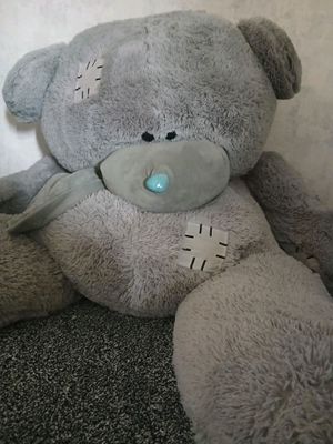 Teddy ayiq