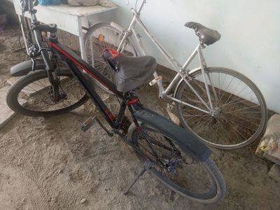 Velosiped holati oʻrta