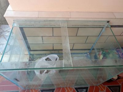Akvarium yangidek turibti