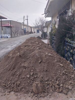 Тозза сарик тупрок бесплатно берамиз.