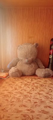 Мягкий Teddy 150sm