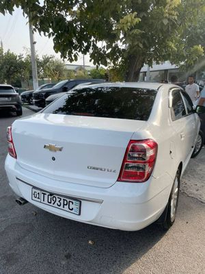 Cobalt oq masla 2020