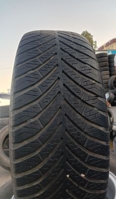 15 kobilt eskicha saka argenal