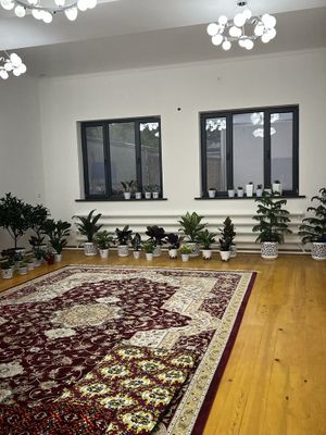 Faqat student bollar uchun ijaraga beramiz