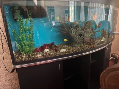Продается аквариум 500 л