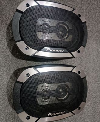 Pioneer 550w champion series kalonka