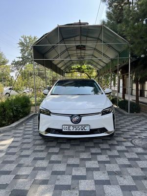 Buyuk Valet tolig elektir