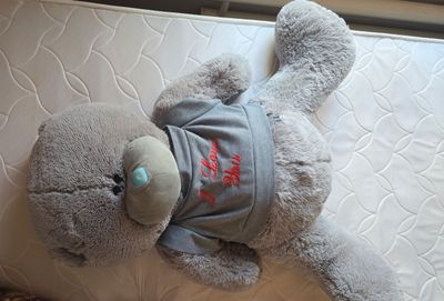 teddy ayiq