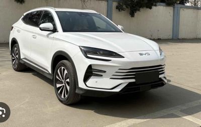 BYD chempion 2025 ga 2025 Toshkentda