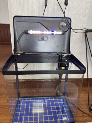 akvarium 25 litrli. ideal