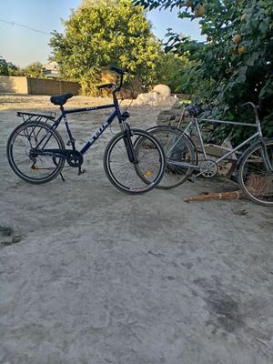 veliklar va darvoza sotiladi