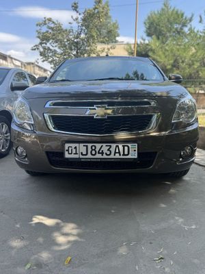 Cobalt Zeus 2023