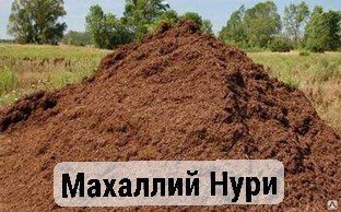 Маххалий Нури 3 телечка бор