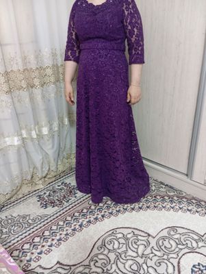 туй либос