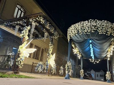 Toy oformlena nabor srochna sotiladi