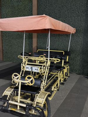 Tandem velik oilaviy velik