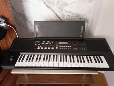 Pionina:ROLAND E-X50