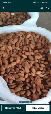 Курук мева Бодом магиз