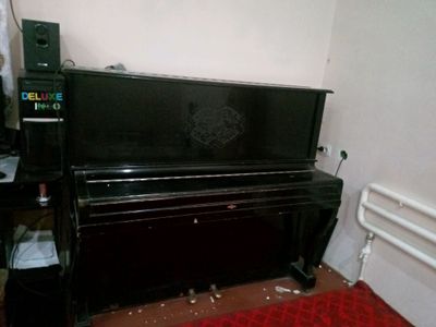 Беларус пионино
