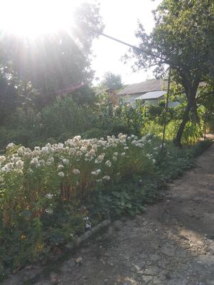 Продаётся половины участка