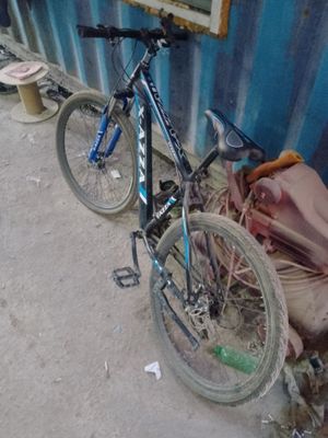 Velik sotiladi holati yaxshi