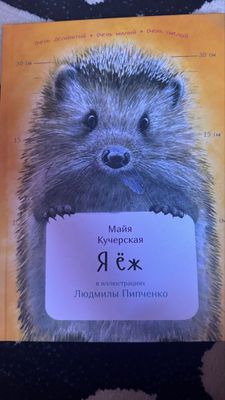 Иллюстрированная книга «Я еж» новая акварель авторская работа