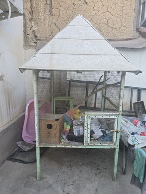 Toti qafasi taxtali