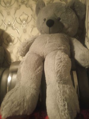 tedi ayiqcha