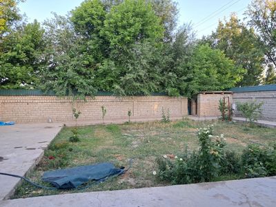 Toshkent vil, Devyati (Oqqo'rg'on) uchastka sotiladi