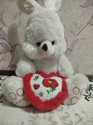 Ayiq sotiladi quyonchali