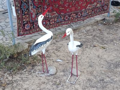 haykal laylaklar