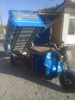 elekto muraver 1 tonnali