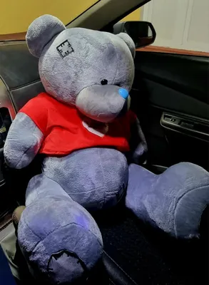 Ayiqcha sotiladi 450.000