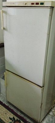 Holodelnik ishlidi azgina ovozi bor