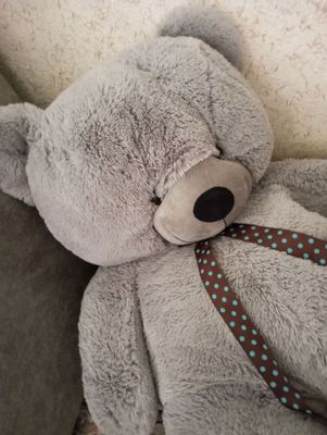 teddy sotladi