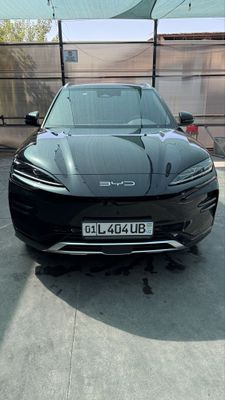 Byd song puls champion