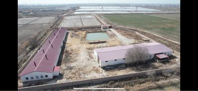 Паррандачилик фермаси