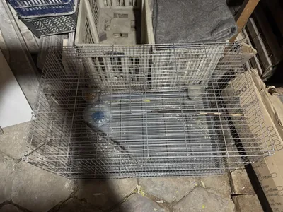 Клетки для птиц