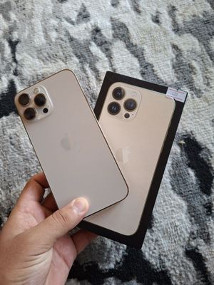 Iphone 13 pro max ideal