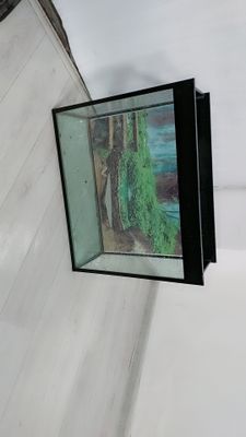 Akvarium xolati toza