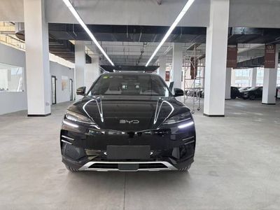 BYD champion smart